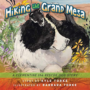 Hiking the Grand Mesa: A Clementine the Rescue Dog Story - 9781615995059 Hiking the Grand Mesa: A Clementine the Rescue Dog Story - 9781615995059