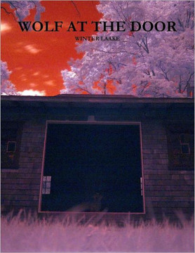 Wolf At The Door