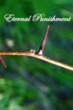 Eternal Punishment Eternal Punishment