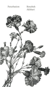 Peturbation: A Speculative History Of Future(S) Past Peturbation: A Speculative History Of Future(S) Past