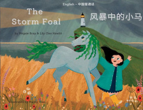 The Storm Foal: ?????? (Mandarin Chinese Edition)