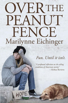 Over The Peanut Fence: Scaling Barriers For Homeless And Runaway Youths