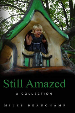 Still Amazed : A Collection