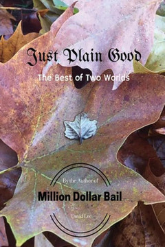 Just Plain Good: Million Dollar Bail