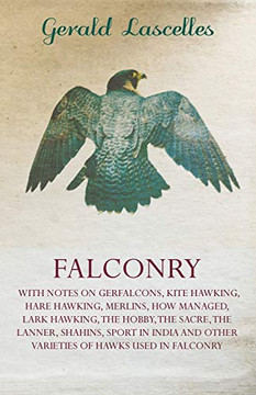 Falconry Falconry