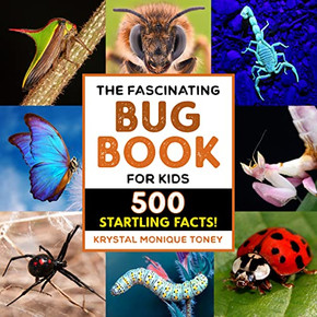 The Fascinating Bug Book For Kids - 9781638780656