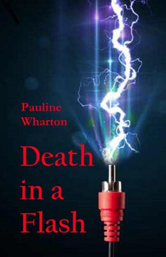 Death in a Flash (A Rostershire Novel) Death in a Flash (A Rostershire Novel)