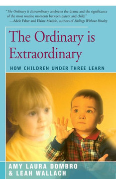 The Ordinary Is Extraordinary: How Children Under Three Learn