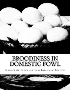 Broodiness in Domestic Fowl: And its Inheritance in Rhode Island Reds