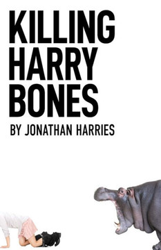 Killing Harry Bones (The Roger Storm Books)