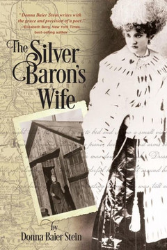 The Silver Baron'S Wife