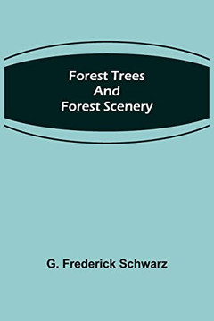 Forest Trees And Forest Scenery Forest Trees And Forest Scenery