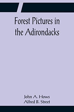Forest Pictures In The Adirondacks