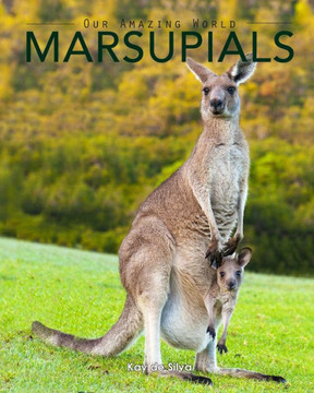Marsupials: Amazing Pictures & Fun Facts Of Animals In Nature