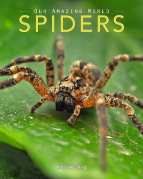 Spiders: Amazing Pictures & Fun Facts On Animals In Nature