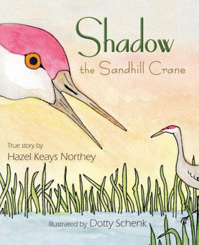 Shadow The Sandhill Crane Shadow The Sandhill Crane