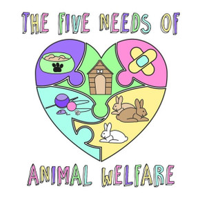 The Five Needs Of Animal Welfare
