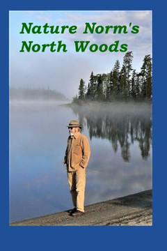 Nature Norm'S North Woods