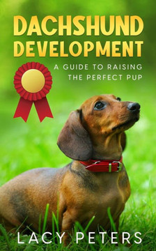 Dachshund Development: A Guide To Raising The Perfect Pup Dachshund Development: A Guide To Raising The Perfect Pup