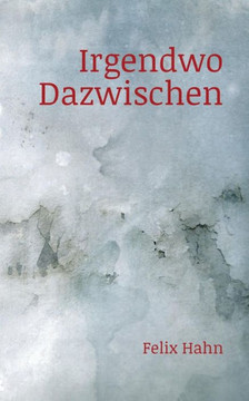 Irgendwo Dazwischen (German Edition) Irgendwo Dazwischen (German Edition)