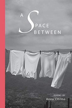 A Space Between (VIA Folios) A Space Between (VIA Folios)