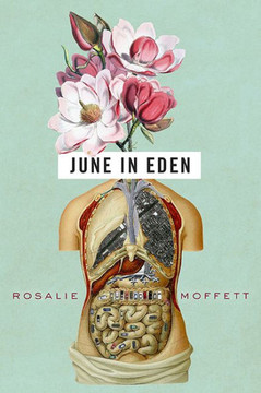 June In Eden (Osu Journal Award Poetry)