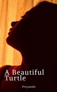 A Beautiful Turtle A Beautiful Turtle