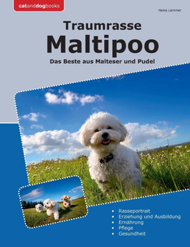 Traumrasse Maltipoo : Das Beste aus Malteser und Pudel