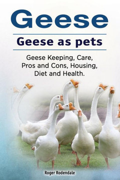 Geese. Geese as pets. Geese Keeping, Care, Pros and Cons, Housing, Diet and Health. Geese. Geese as pets. Geese Keeping, Care, Pros and Cons, Housing, Diet and Health.
