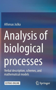 Analysis of biological processes : Verbal description, schemes, and mathematical models