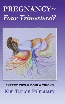 Pregnancy ~ Four Trimesters!?