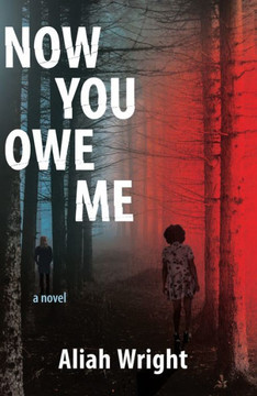 Now You Owe Me : A Novel