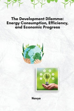 The Development Dilemma: Energy Consumption, Efficiency, and Economic Progress