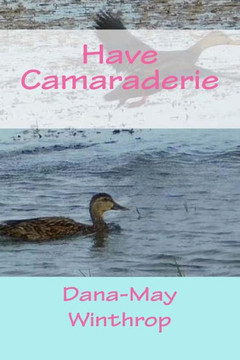Have Camaraderie Have Camaraderie
