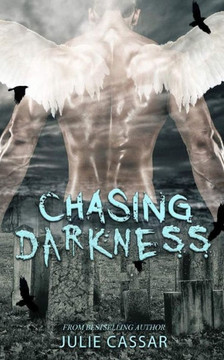 Chasing Darkness (The Stealing Light Trilogy) Chasing Darkness (The Stealing Light Trilogy)