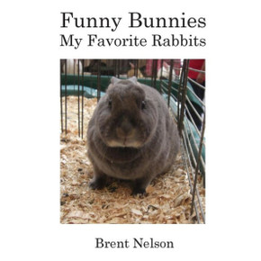 Funny Bunnies: My Favorite Rabbits