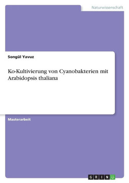 Ko-Kultivierung von Cyanobakterien mit Arabidopsis thaliana