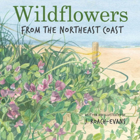 Wildflowers : From the Northeast Coast