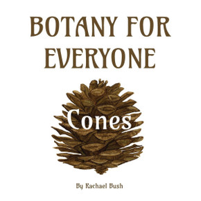 Botany for Everyone : Cones Botany for Everyone : Cones