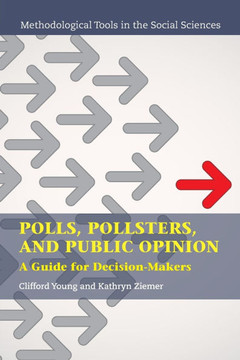 Polls, Pollsters, and Public Opinion : A Guide for Decision-Makers