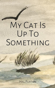 My Cat Is Up To Something