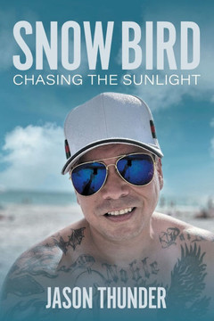 Snow Bird : Chasing the Sunlight