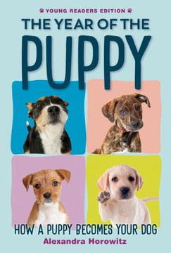 The Year of the Puppy : How a Puppy Becomes Your Dog The Year of the Puppy : How a Puppy Becomes Your Dog