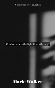 Crevice : Where the Light Filters Through