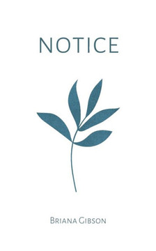 Notice Notice