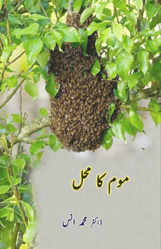Mom ka Mahal : (Kids Stories) Mom ka Mahal : (Kids Stories)