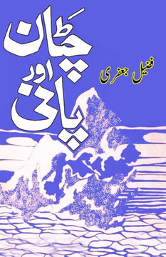 Chattaan aur Paani : (Literary Essays)