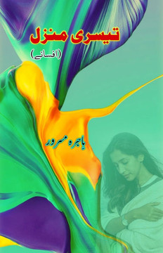Teesri Manzil : (Third Floor, Urdu Short Stories) Teesri Manzil : (Third Floor, Urdu Short Stories)
