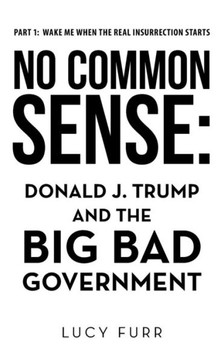 No Common Sense : Donald J. Trump and the Big Bad Government