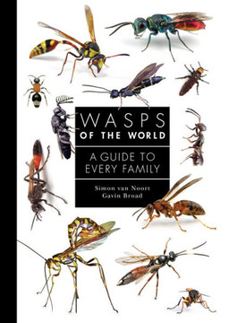 Wasps of the World : A Guide to Every Family Wasps of the World : A Guide to Every Family